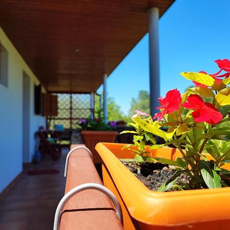 Apartman Dunav Aljmaš Εξωτερικό φωτογραφία